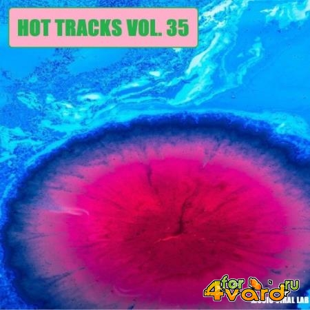 Hot Tracks Vol. 35 (2022)