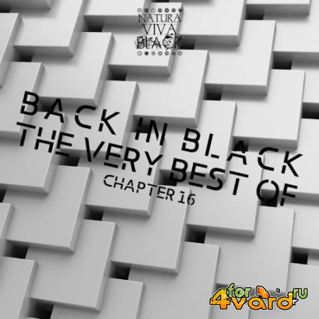 Back in Black! Chapter 16 (2022)