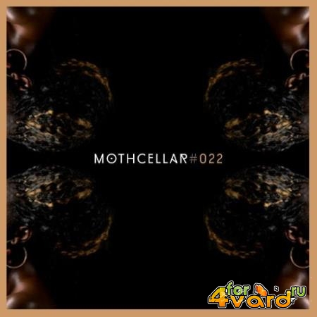 Mothcellar 022 (2022)
