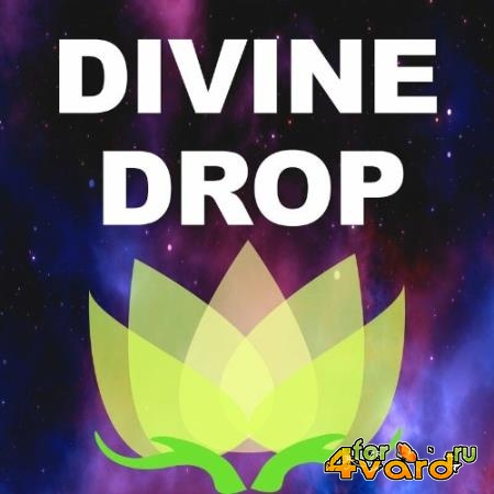 Divine Drop - Fluctuation (2022)