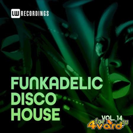 Funkadelic Disco House, 14 (2022)