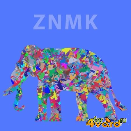 ZNMK - Culture of Sound (2022)