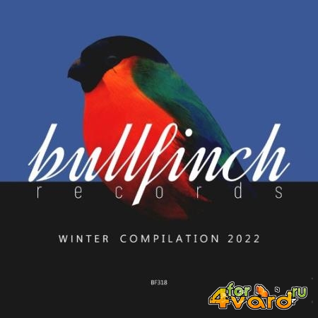 Bullfinch Winter 2022 Compilation (2022)