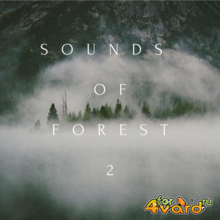 Sounds of Forest 2 (2022)