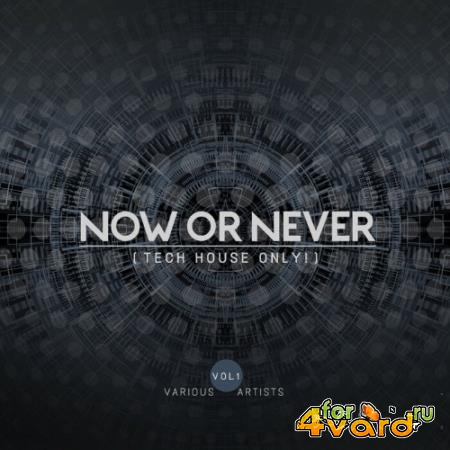 Now Or Never, Vol. 1 (Tech House Only!) (2022)