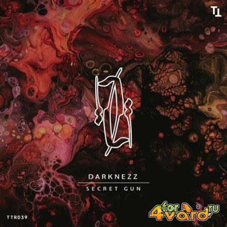 Darknezz - Secret Gun (2022)