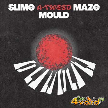 A-Tweed - Slime Mould Maze EP (2022)