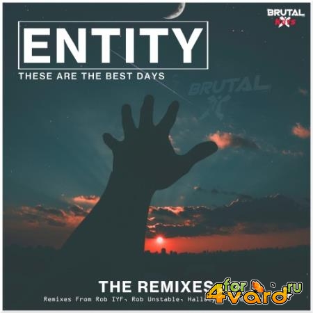 Entity - These Are The Best Days (The Remixes) (2022)