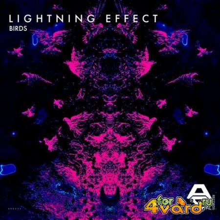 Lightning Effect - Birds (2022)