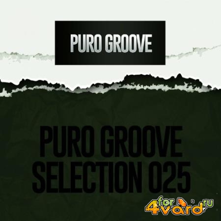 PURO GROOVE SELECTION 025 (2022)