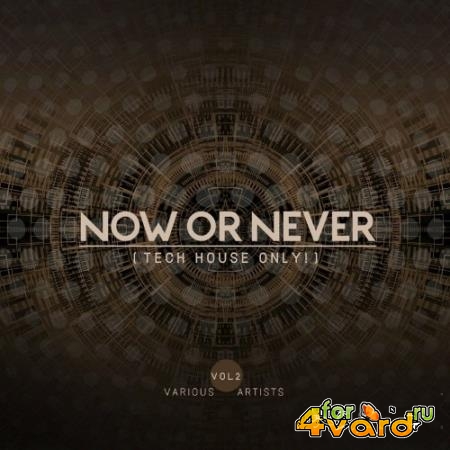 Now Or Never, Vol. 2 (Tech House ONLY!) (2022)